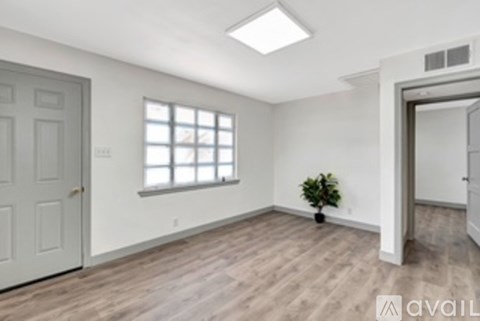 A room with a door, a window, and a plant.