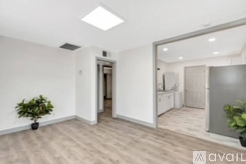 A room with a plant on the left and a mirror on the right.