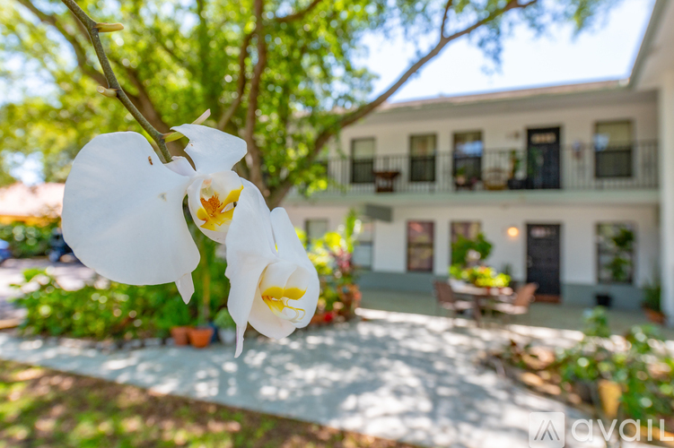 A white orchid flower in the foreground with a house in the background.
