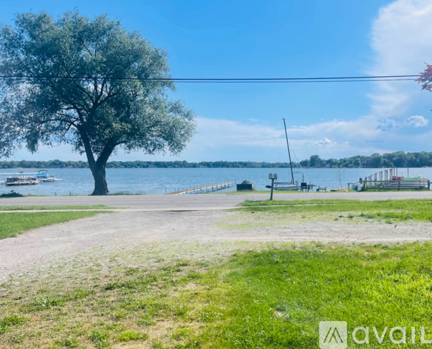A tree stands alone on a grassy area by a body of water.