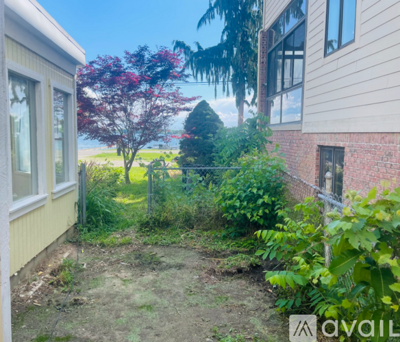 A backyard with a tree and a fence.