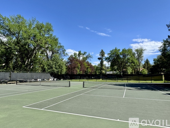 A tennis court surrounded by trees and a fence.