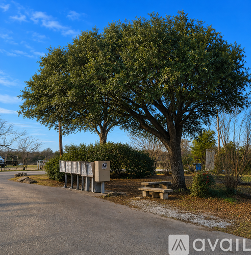 A large tree stands next to a row of mailboxes in a sunny area.