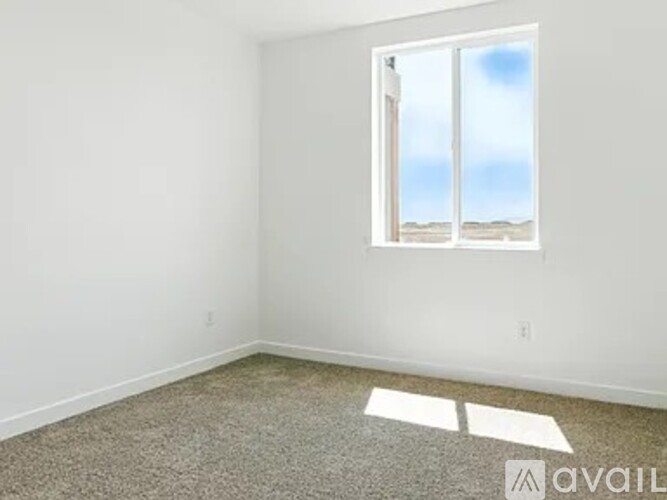 A room with a window and a carpeted floor.