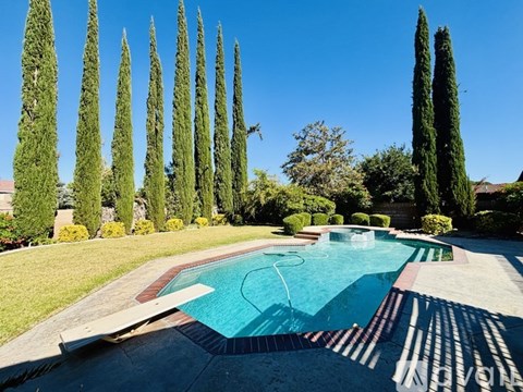 A pool surrounded by tall green trees.