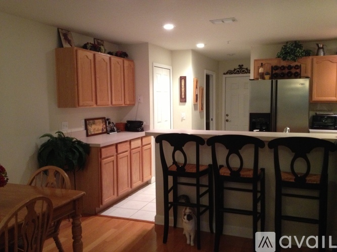 A kitchen with wooden cabinets and a dog.