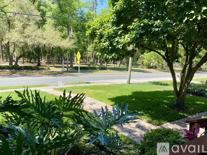 A tree-lined street with a yellow sign in the distance.