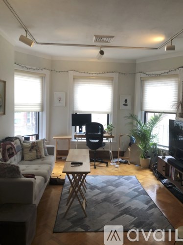 A living room with a grey couch, a white coffee table, and a grey rug.