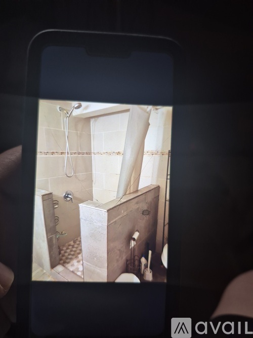 A bathroom with a shower and a toilet.