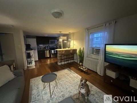 A dog is sitting on a rug in a living room.