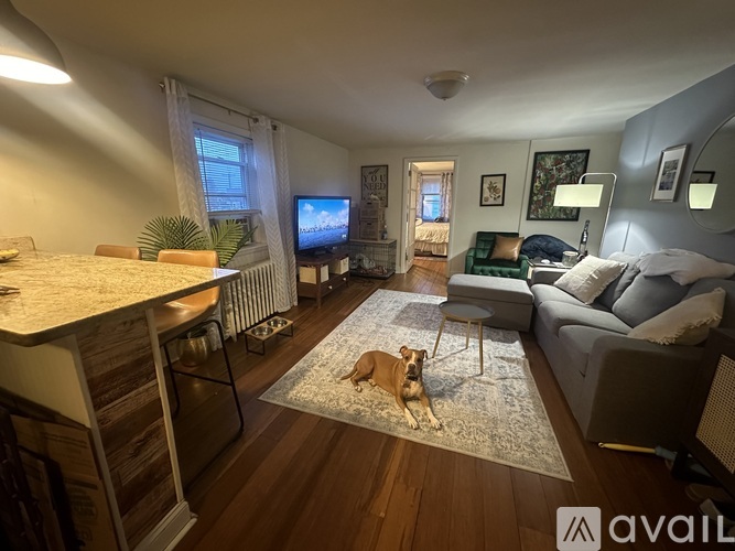 A dog is sitting on a rug in a living room.