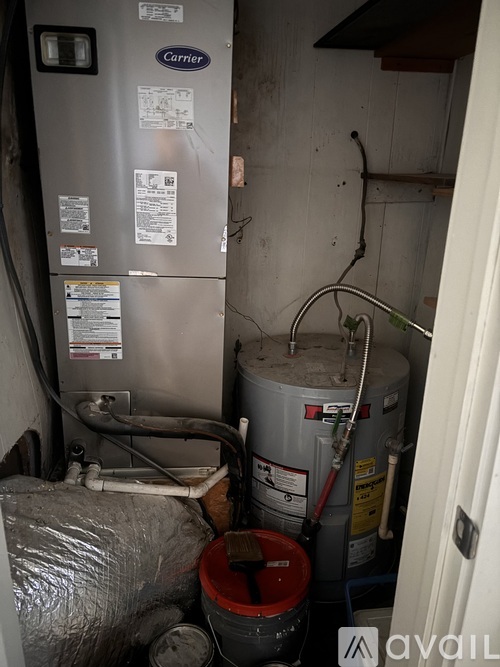 A Carrier gas furnace and a water heater in a basement.