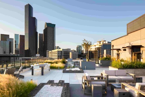 A cityscape with a rooftop garden in the foreground.