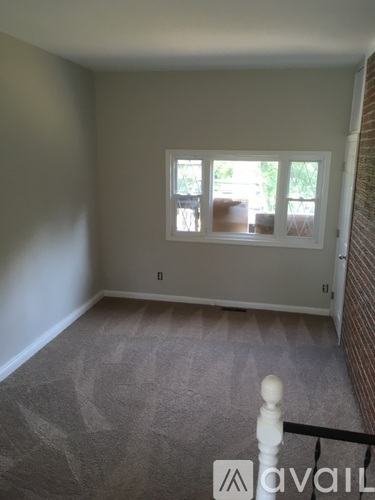 A room with a carpeted floor and a window with white frames.