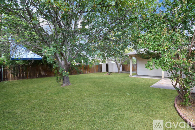 A house with a brown brick wall and a white door is surrounded by a grassy area and trees.