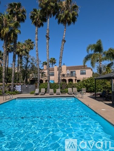 A pool surrounded by palm trees and lounge chairs.