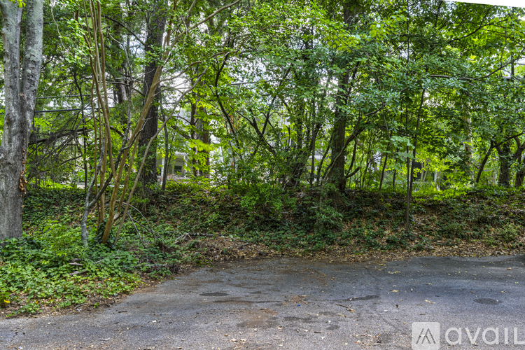A pathway surrounded by greenery and trees.