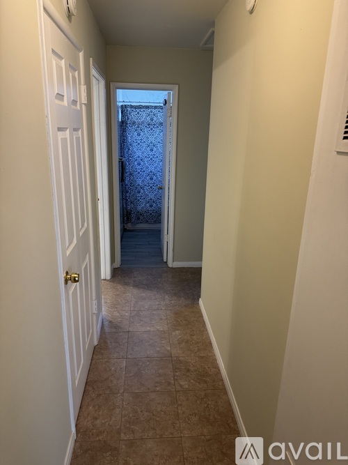 A hallway with a door on the left and a door with a curtain on the right.
