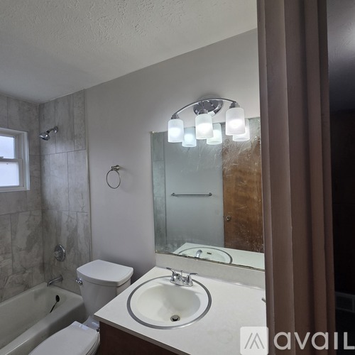 A bathroom with a white toilet, a sink, and a shower.