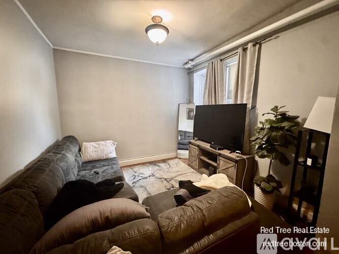 A living room with a couch, a television, and a plant.