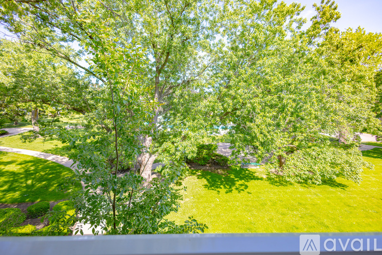 A lush green lawn with trees and a clear blue sky.