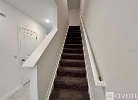 A staircase with a carpeted runner and white handrails.