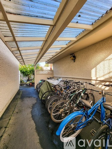 614 6th Avenue North 1 Apartment for Rent - Photo gallery 5