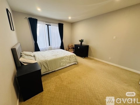 7226 Shelter Creek Lane 2 Beds Apartment for Rent