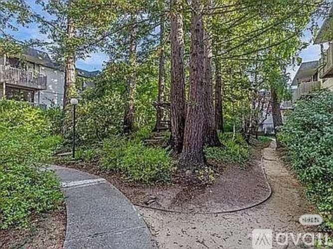 A pathway in a wooded area with a building in the background.