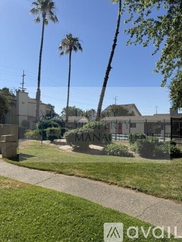 A grassy area with a path and palm trees in front of a building with the word "MANAGEMENT" on it.