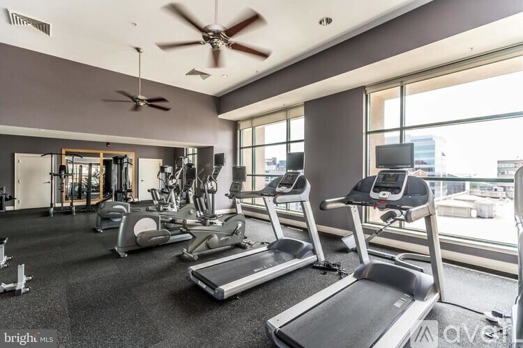 A gym with treadmills, elliptical machines, and a fan.