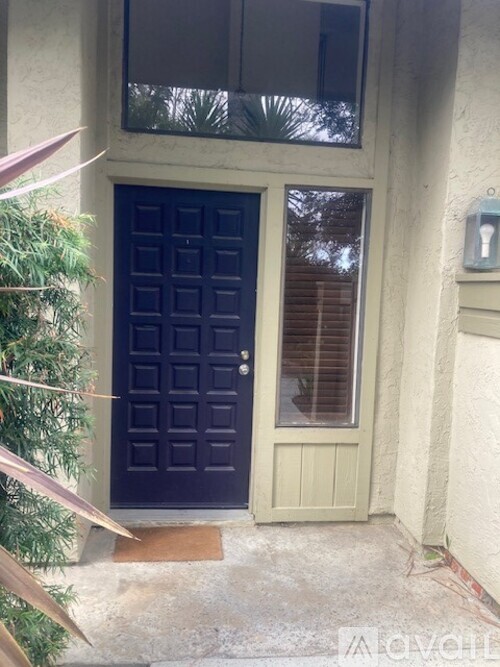 A black door with a window above it and a plant to the left.