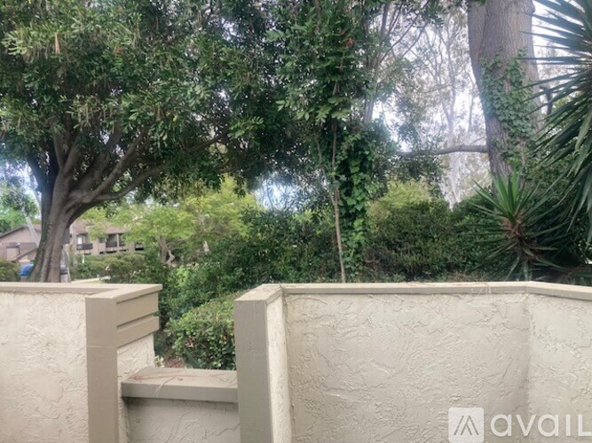 A backyard with a concrete wall and trees.