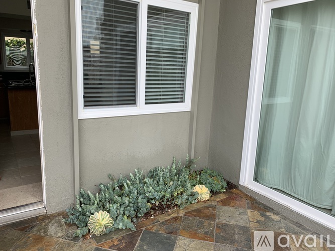 A window with white blinds and a plant in front of it.