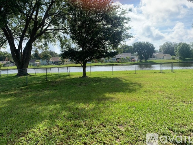 A grassy field with a tree and a lake in the background.