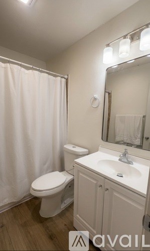 A bathroom with a toilet, sink, and mirror.