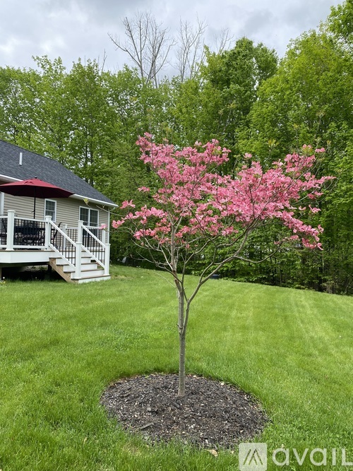 42 Ebony Drive 3 Beds Single Family Home for Rent - Photo gallery 4