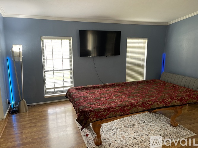 A bedroom with a bed, a television, and a rug.