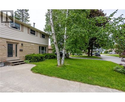 A house with a tree in front of it.