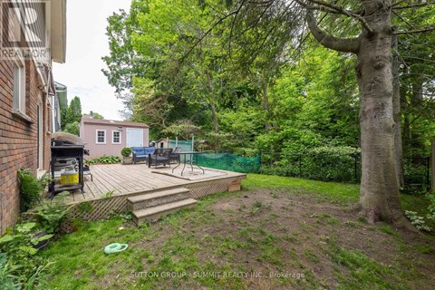 A backyard with a deck, a tree, and a small building in the background.