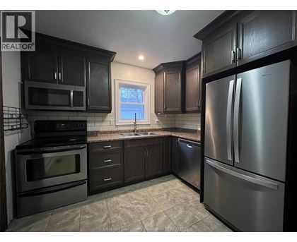 A kitchen with black cabinets and stainless steel appliances.
