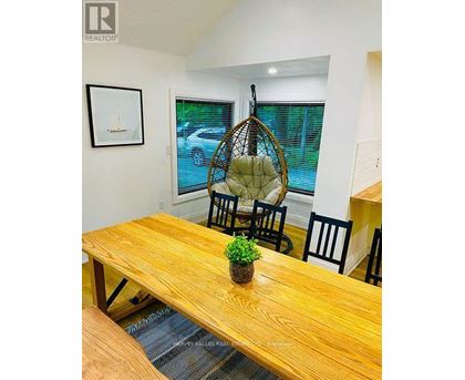 A wooden table with a plant and a hanging chair in a room.