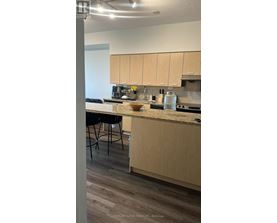A kitchen with wooden cabinets and a countertop.