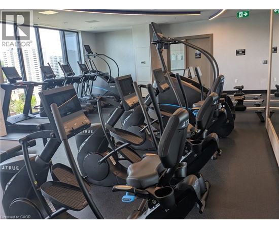 A gym with a row of treadmills.