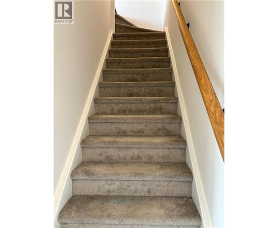 10 PALACE Street Unit# D5 2 Beds Condo, Home, Townhouse for Rent - Photo gallery 1