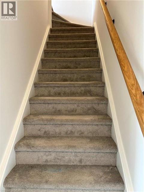 A staircase with a wooden handrail and beige carpeted steps.