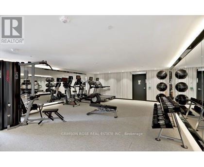 A well-equipped gym with a variety of exercise machines and weights.