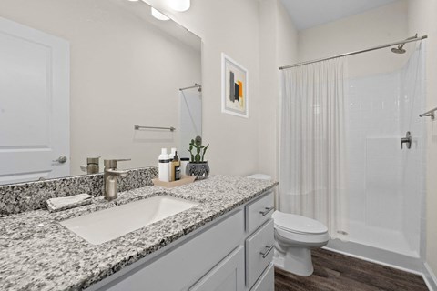 683 Main Street East 1 Apartment for Rent