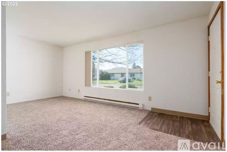 A room with a window and a carpeted floor.