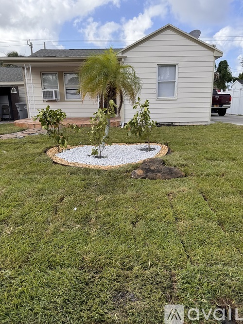 A small tree is planted in a circle of gravel in a grassy yard.